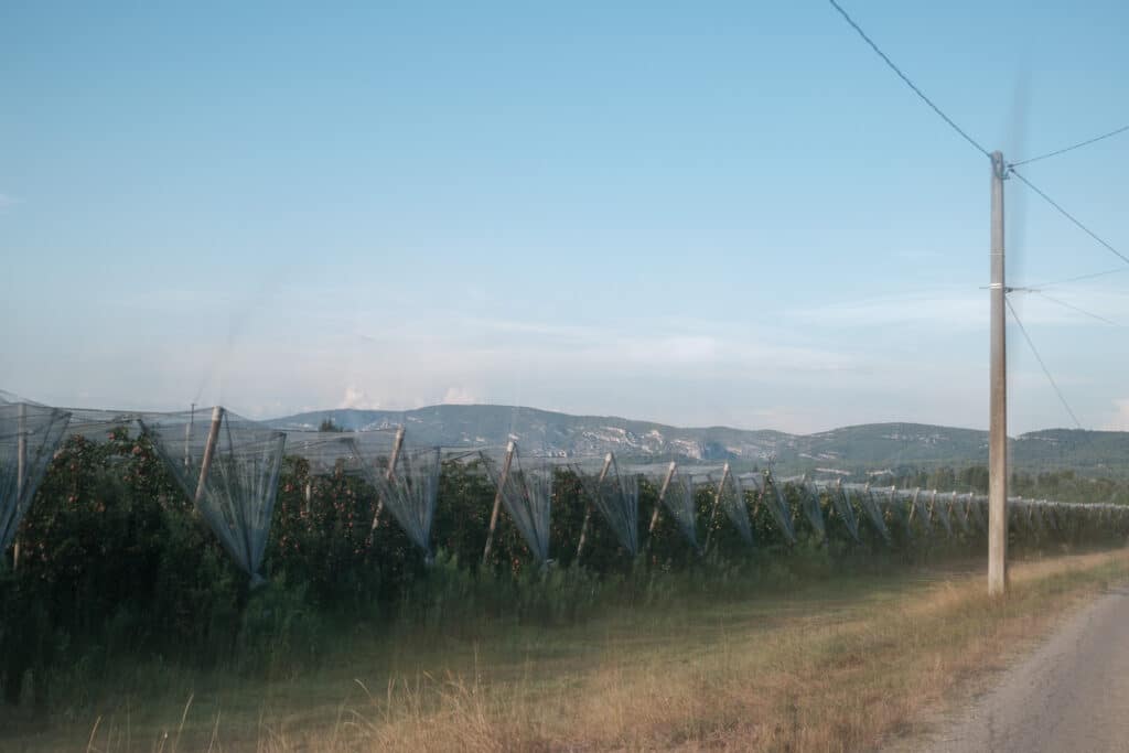 Exploitation agricole dans le Vaucluse - I